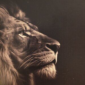 Lancome Juicy Tubes Lip Gloss - Tickled Pink